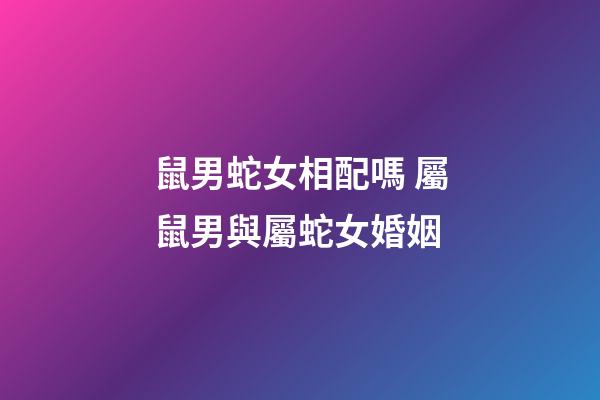 鼠男蛇女相配嗎 屬鼠男與屬蛇女婚姻-第1張-觀點-玄機派
